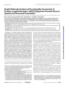 Single Molecule Analysis Of Functionally Asymmetric G Protein Coupled